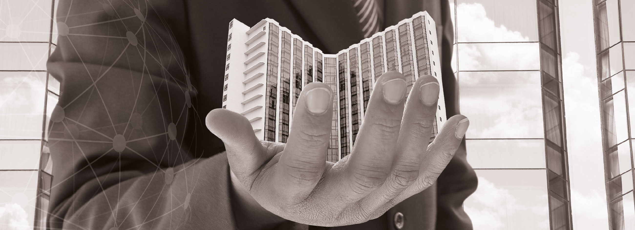 Development management services